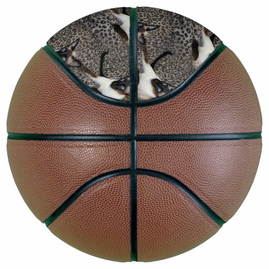 ヒョウ柄の野生の動物の斑点を描くシャム猫 バスケットボール (右)