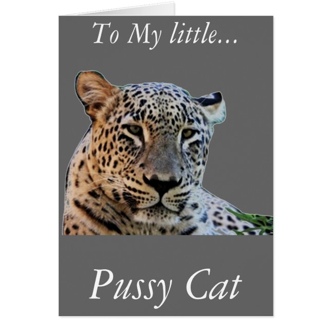 ヒョウ柄 (正面)