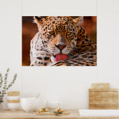 ヒョウ清掃用ポスター ポスター (キッチン)