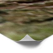 ヒョウ眠りのポスター ポスター (角)