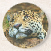 ヒョウ石コースター コースター (正面)