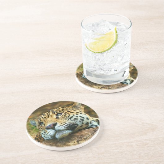 ヒョウ石コースター コースター (側面)