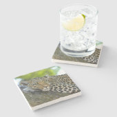 ヒョウ素晴らし ストーンコースター (横)