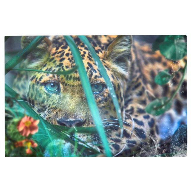 ヒョウ緑色眼鏡 メタルプリント (正面)