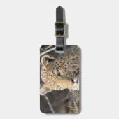 ヒョウ野生動物写真アフリカサファリ動物 ラゲッジタグ (正面縦)
