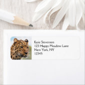 ヒョウ頭部ポートレート ラベル (インサイチュ)