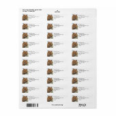 ヒョウ頭部ポートレート ラベル (フルシート)