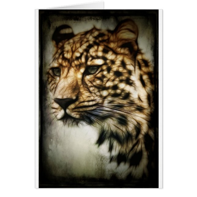 ヒョウ顔 (正面)