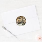 ヒョウ顔 ラウンドシール (封筒)