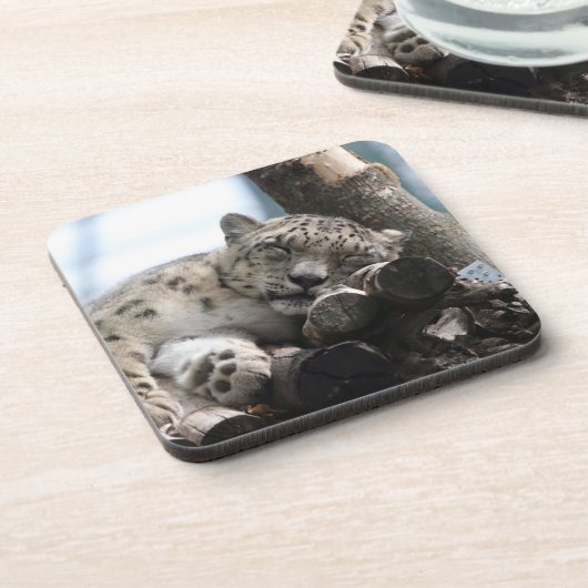 ヒョウ002 コースター (左側)