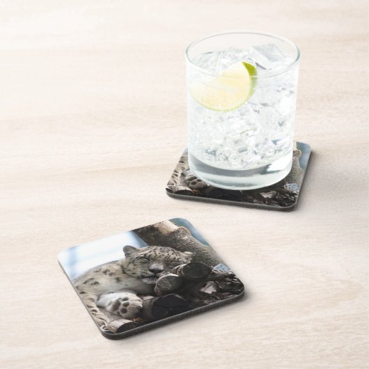 ヒョウ002 コースター (右側)