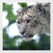 ヒョウ003 ウィンドウサイン (シート)