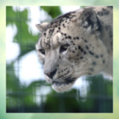 ヒョウ003 ウィンドウサイン (シート3)
