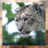 ヒョウ003 ウィンドウサイン (シート2)