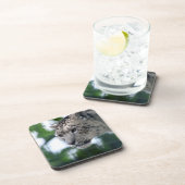 ヒョウ003 コースター (右側)