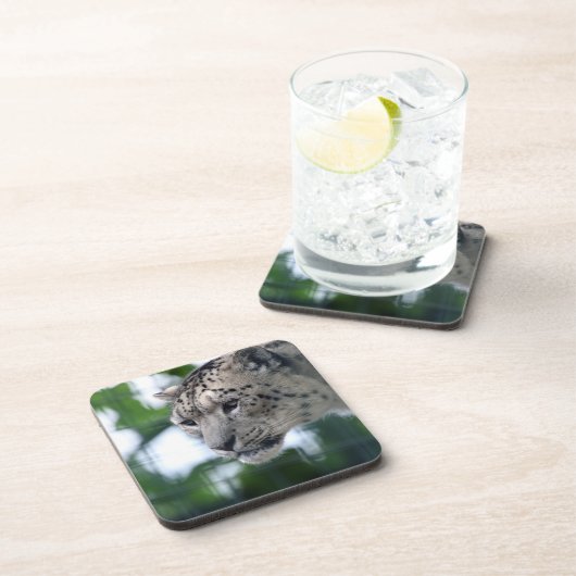 ヒョウ003 コースター (右側)