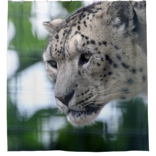 ヒョウ003 シャワーカーテン (正面)