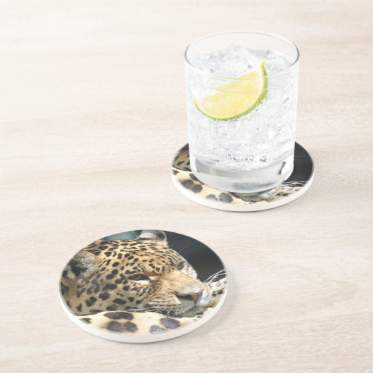 ヒョウ004 コースター (側面)