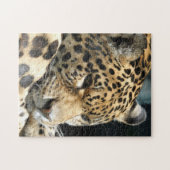 ヒョウ004 ジグソーパズル (横)