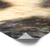 ヒョウ004 ポスター (角)