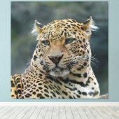 ヒョウ006 キャンバスプリント (インサイチュ (ウッドフロア))