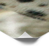 ヒョウ20151002 フォトプリント            (角)