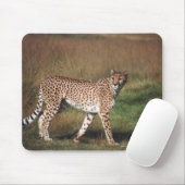 ヒョウ3 マウスパッド (マウス)