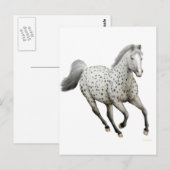 ヒョウ・アパルーサ馬はがき ポストカード (正面/裏面)