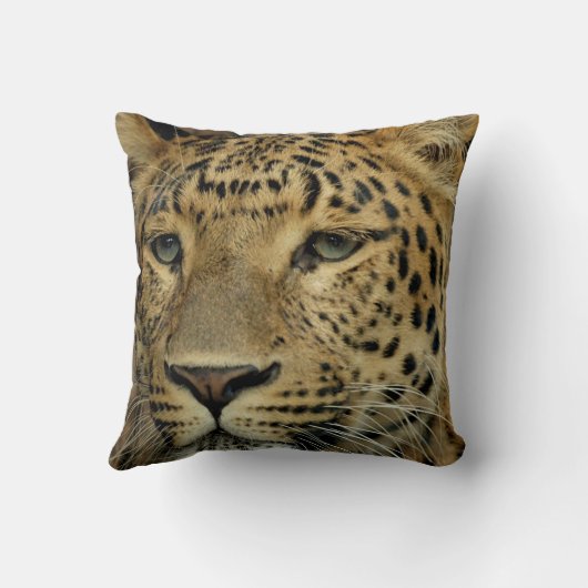 ヒョウ クッション (裏面)