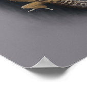 ヒョウ・ゲコ・トカゲ ポスター (角)