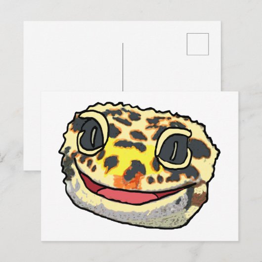 ヒョウ・ゲコ ポストカード (正面/裏面)