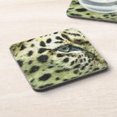 ヒョウ コースター (左側)