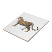 ヒョウ タイル (側面)