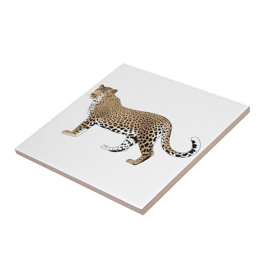 ヒョウ タイル (側面)