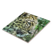 ヒョウ タイル (側面)