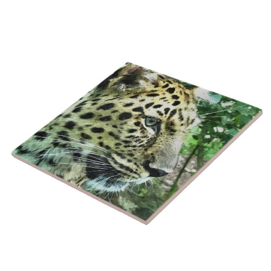 ヒョウ タイル (側面)