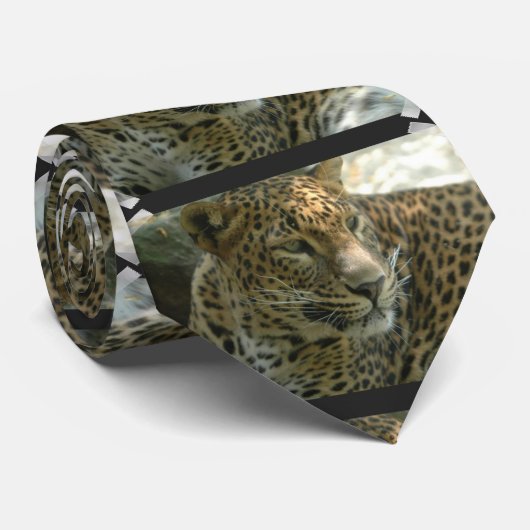 ヒョウ ネクタイ (ロール)