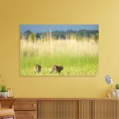 ヒョウ（パンテラ・パルダス）とカブの背面 キャンバスプリント (インサイチュ (リビング))