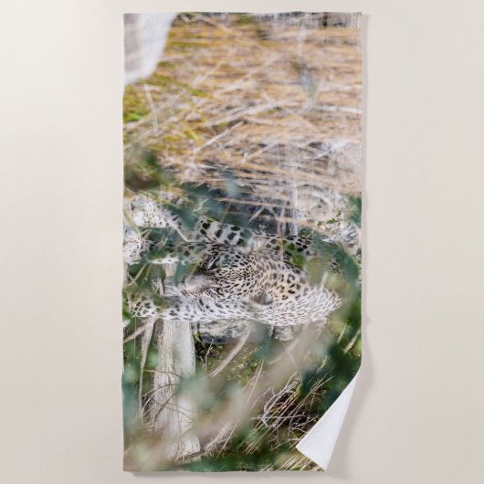 ヒョウ ビーチタオル (正面)