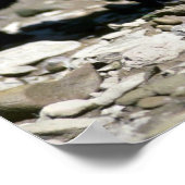 ヒョウ – ブラックの相棒（川から濡れた） ポスター (角)