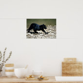 ヒョウ – ブラックの相棒（川から濡れた） ポスター (キッチン)