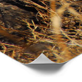 ヒョウ ポスター (角)