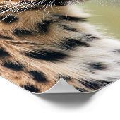 ヒョウ ポスター (角)