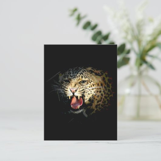 ヒョウ ポストカード (スタンド正面)