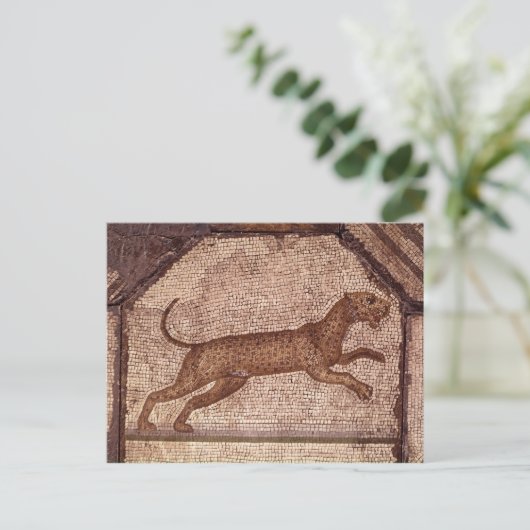 ヒョウ ポストカード (スタンド正面)