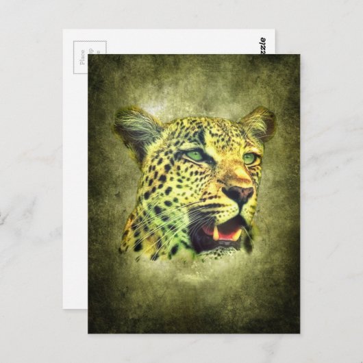 ヒョウ ポストカード (正面/裏面)