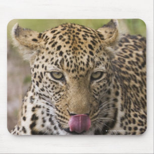 ヒョウ マウスパッド