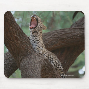 ヒョウ マウスパッド