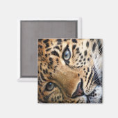 ヒョウ マグネット (正面/裏面)