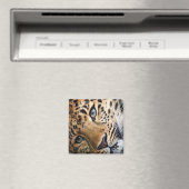 ヒョウ マグネット (インサイチュ (食洗機))